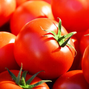 Tomate Celebrity Plus (F1)